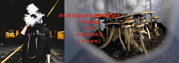 MESCALINE Гусев