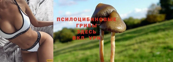 MESCALINE Гусев