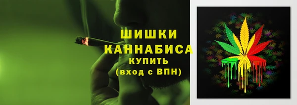 mix Гусиноозёрск