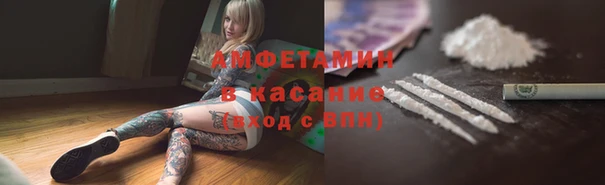 ПСИЛОЦИБИНОВЫЕ ГРИБЫ Горняк