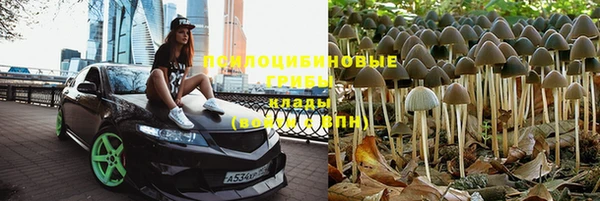 mix Гусиноозёрск