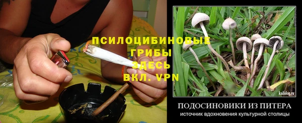 MESCALINE Гусев