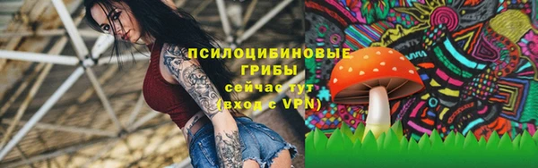 гашиш Гусь-Хрустальный