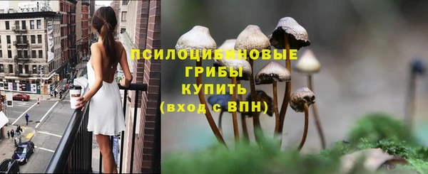 гашиш Гусь-Хрустальный
