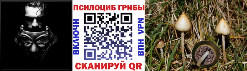 Псилоцибиновые грибы ЛСД  Велиж 